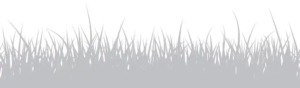 Grass Divider