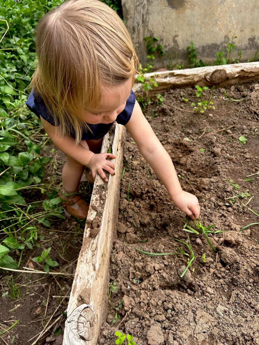 What I Learned From The Trip We Didn't Plan 3 Madeleine playing in the garden Liberty Ridge Farm WI