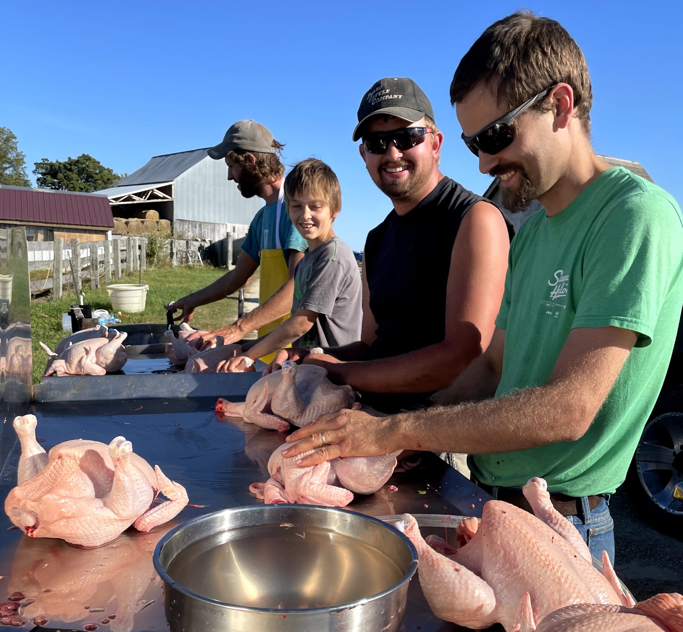 Procession chicken on the farm